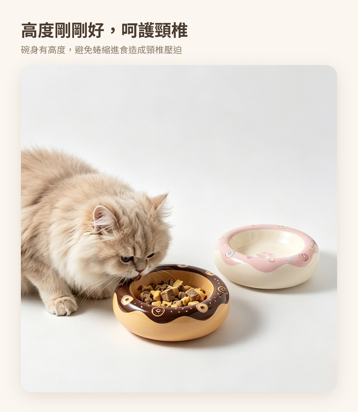 甜甜圈造型陶瓷貓碗 — feature