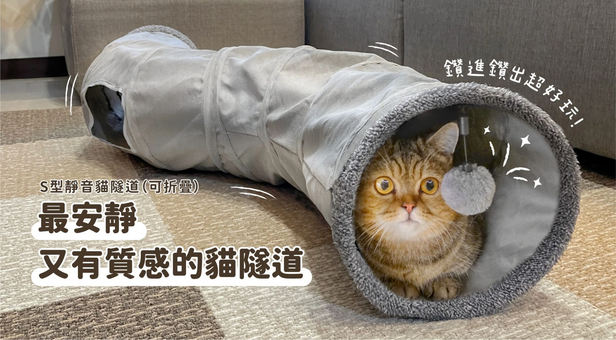 貓隧道