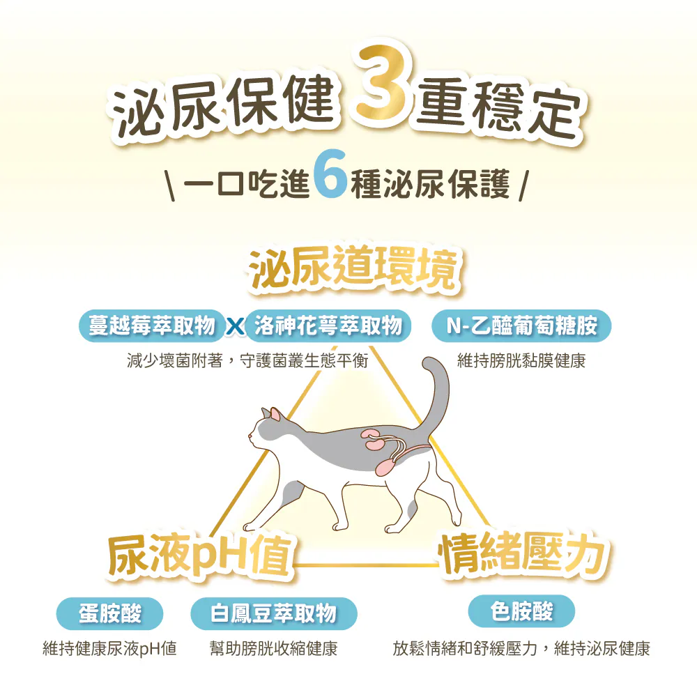 3860x (15).webp