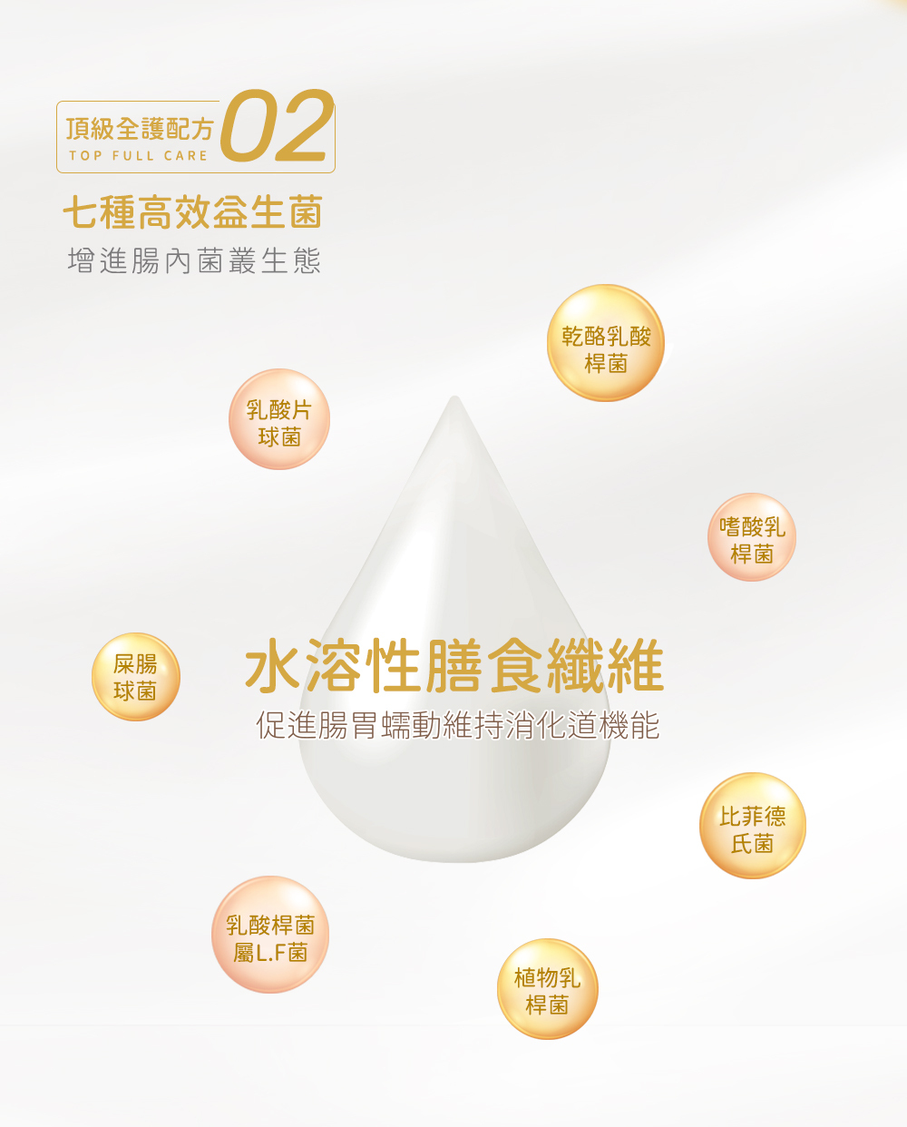 成份