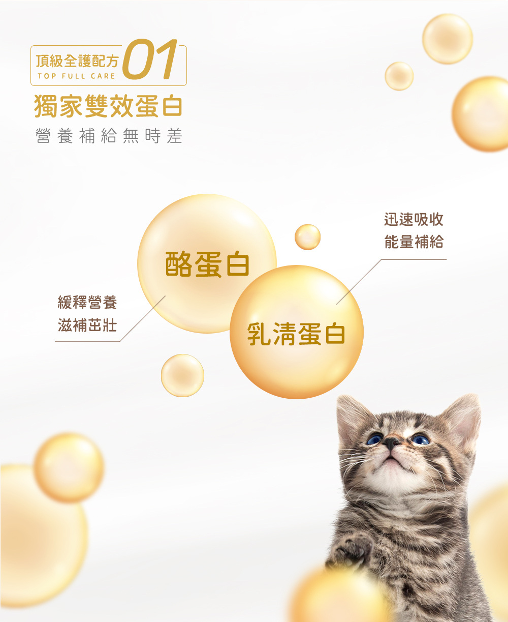 成份