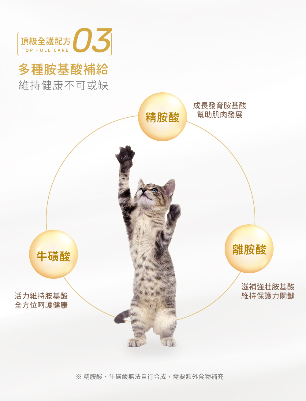 成份