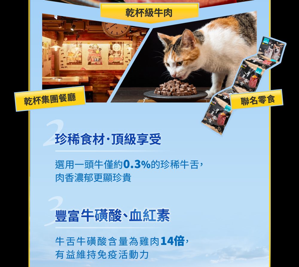 紐澳放牧牧場 人道飼養牛隻