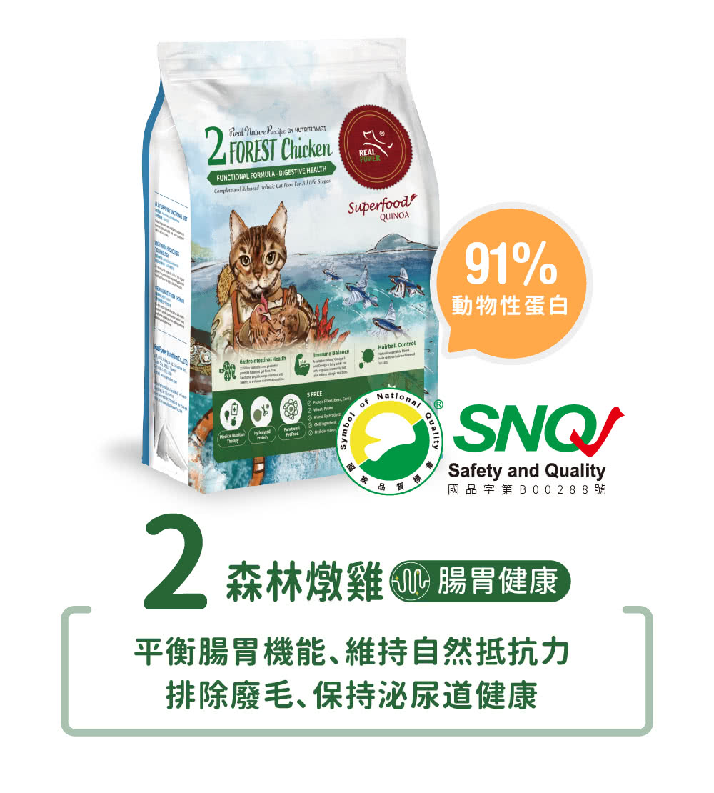 貓糧 2號 森林燉雞 腸胃健康配方