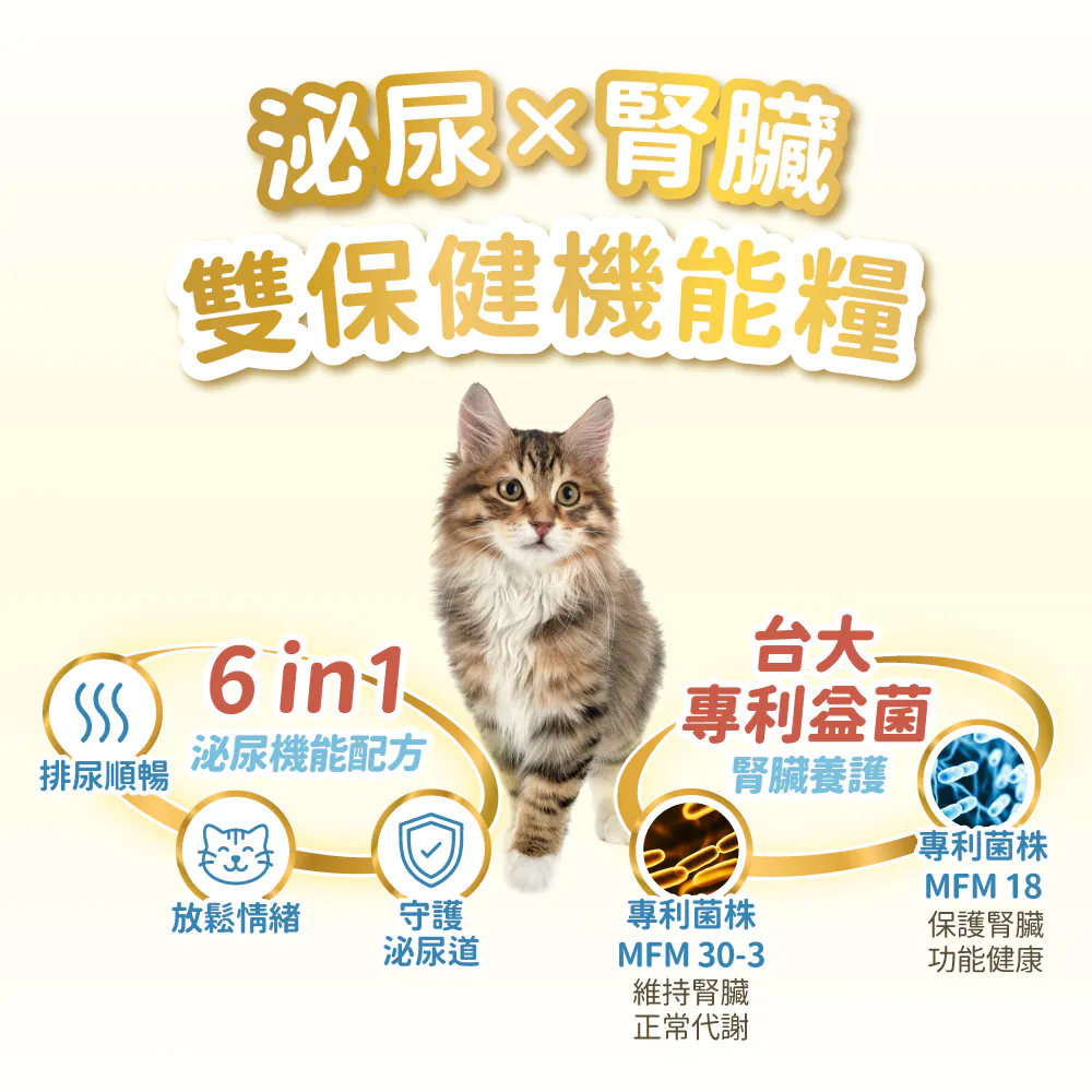 3860x (14).webp