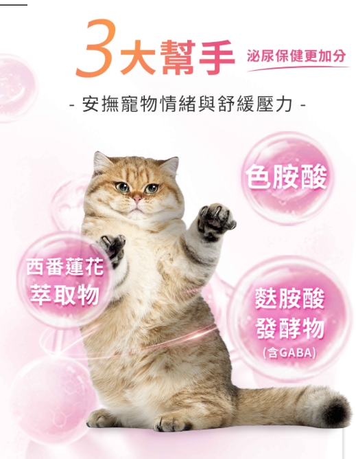 信元04.jpg