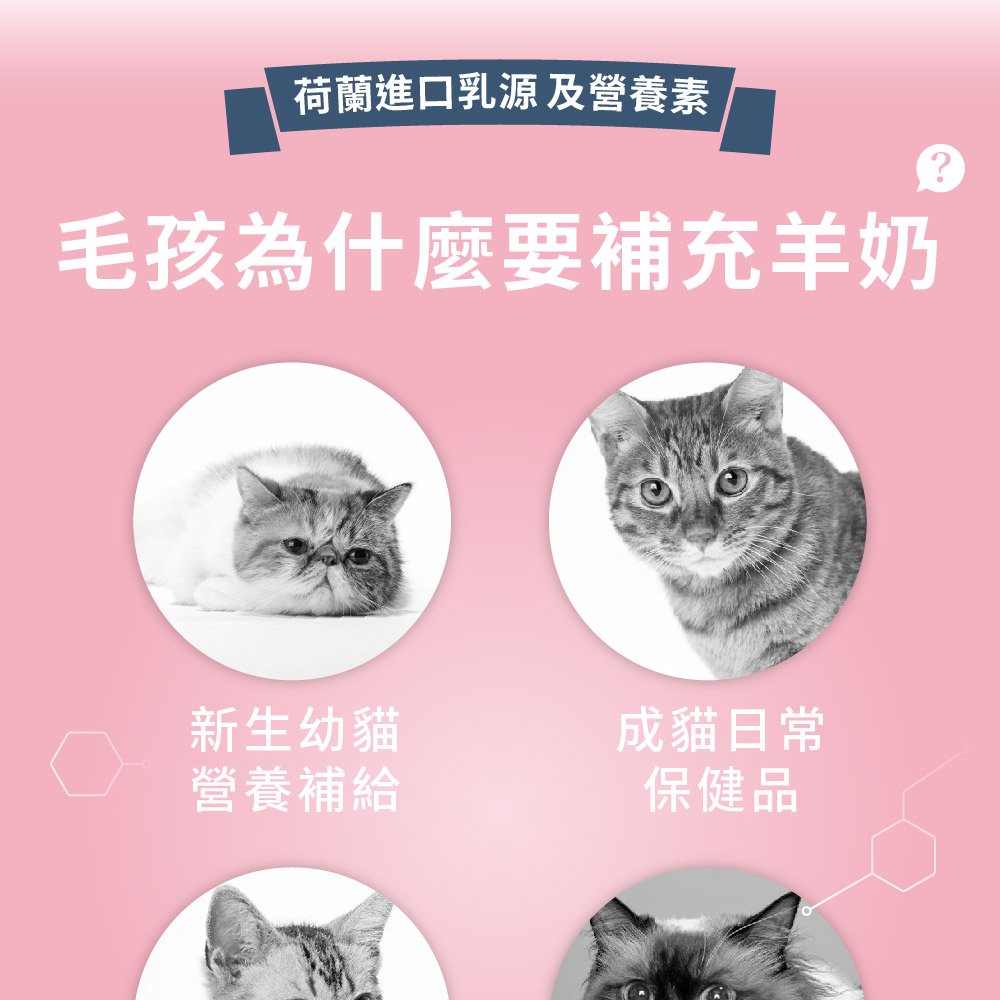 信元羊奶粉