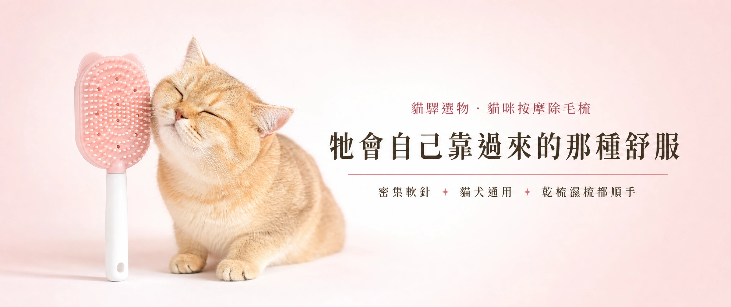 貓咪按摩除毛梳
