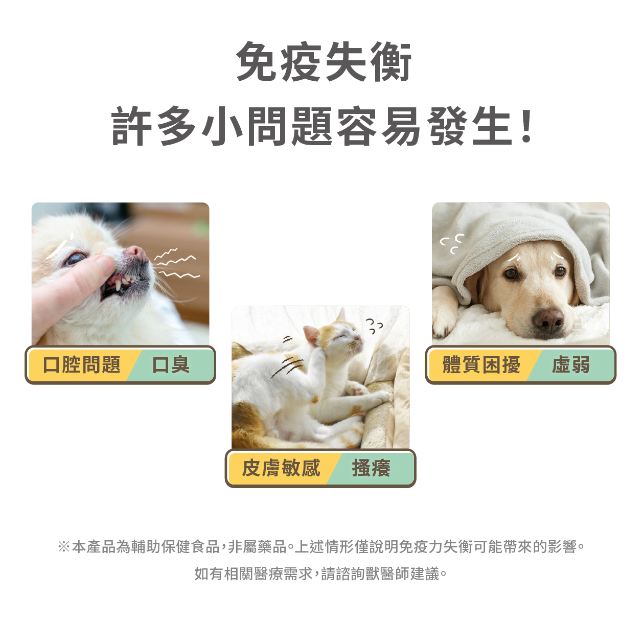 免疫力健康保養粉 圖 4