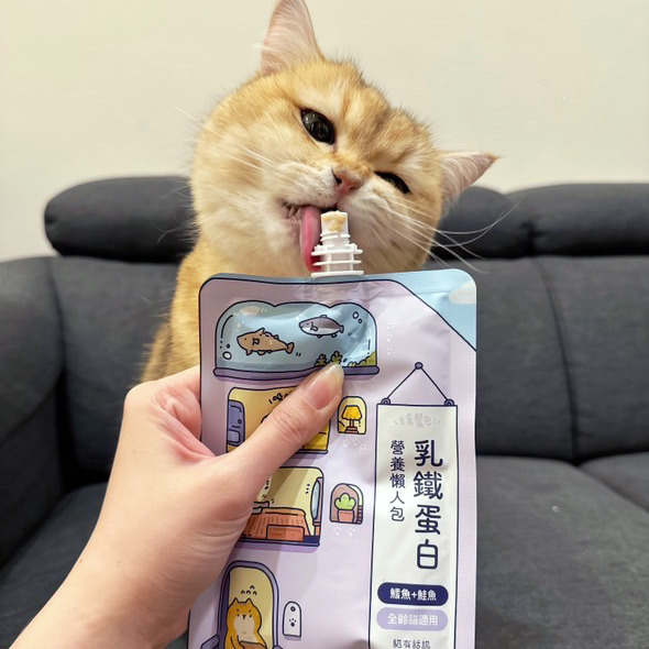 貓有話說 乳鐵蛋白主食餐包 營養懶人包 120g