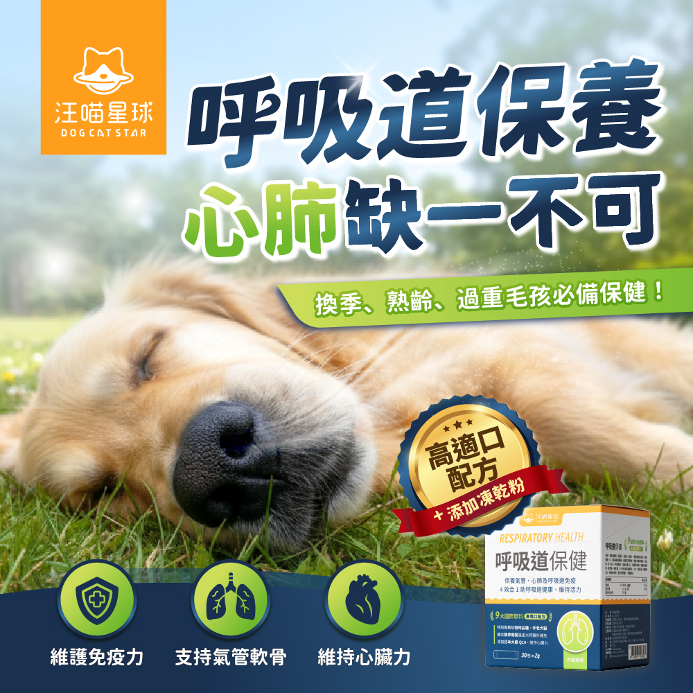 呼吸道保健粉 圖 2