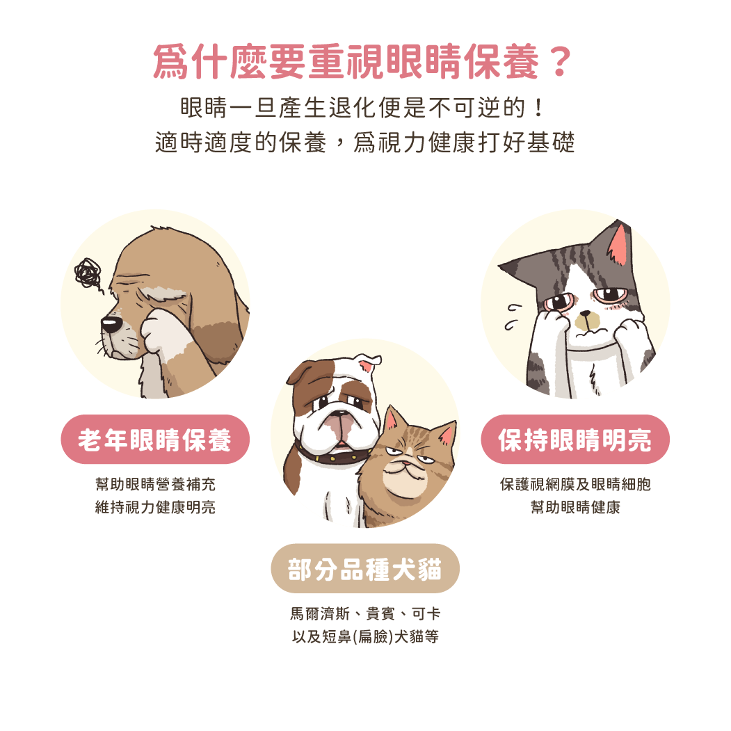 護眼好明亮保養粉 圖 4